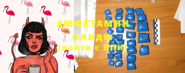 амф Горняк
