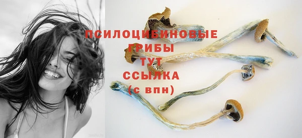 ПСИЛОЦИБИНОВЫЕ ГРИБЫ Горнозаводск