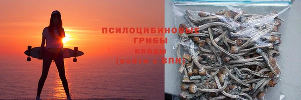 ПСИЛОЦИБИНОВЫЕ ГРИБЫ Горнозаводск