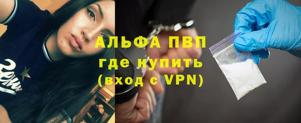 ПСИЛОЦИБИНОВЫЕ ГРИБЫ Горнозаводск
