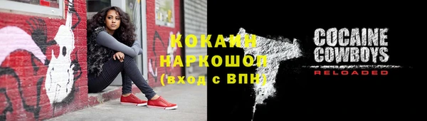 альфа пвп Гусев
