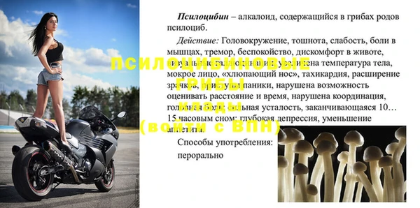 apvp Гусь-Хрустальный