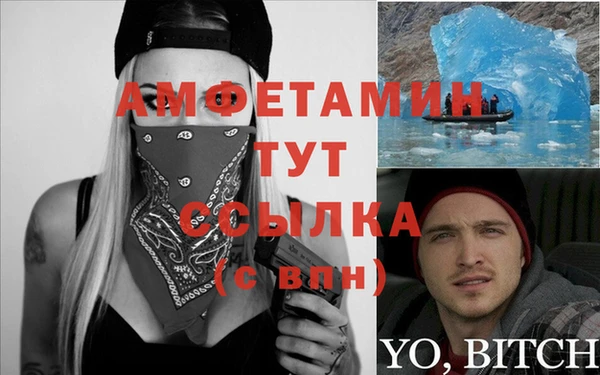 амф Горняк