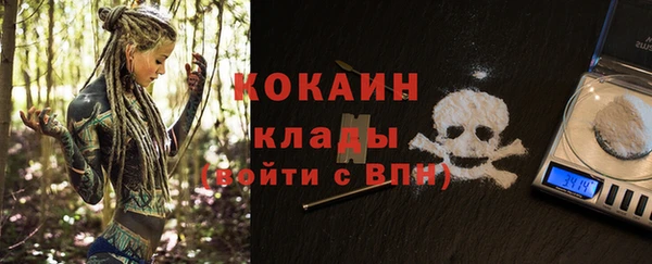 альфа пвп Гусев