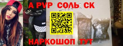индика Камышлов