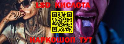 индика Камышлов