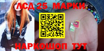индика Камышлов