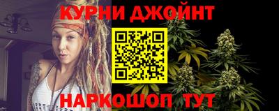 индика Камышлов