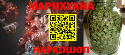 индика Камышлов