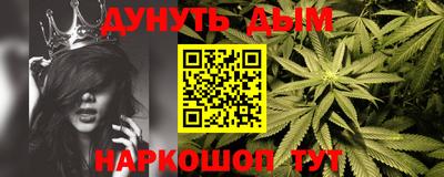 индика Камышлов