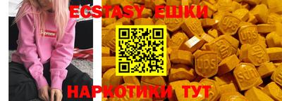 индика Камышлов