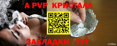 индика Камышлов
