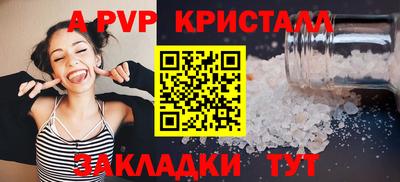 индика Камышлов