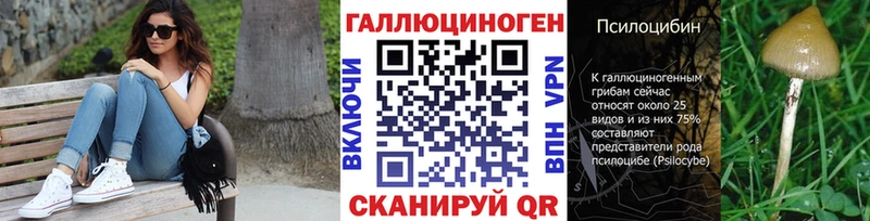 блэк спрут ONION  Электрогорск  Галлюциногенные грибы Psilocybe 