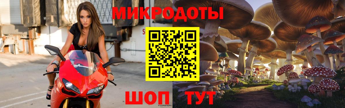 Электрогорск  купить наркотик  Псилоцибиновые грибы Psilocybe  Вход с VPN  Псилоцибиновые грибы мицелий 