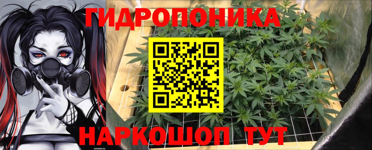 Каннабис конопля Электрогорск